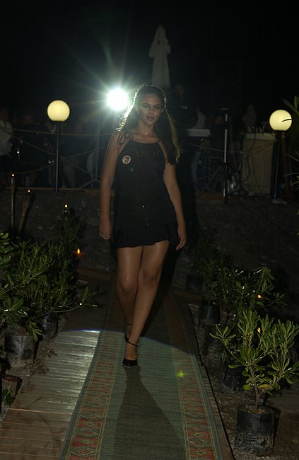 DSC_3982