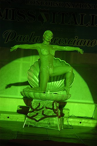 DSC_9379