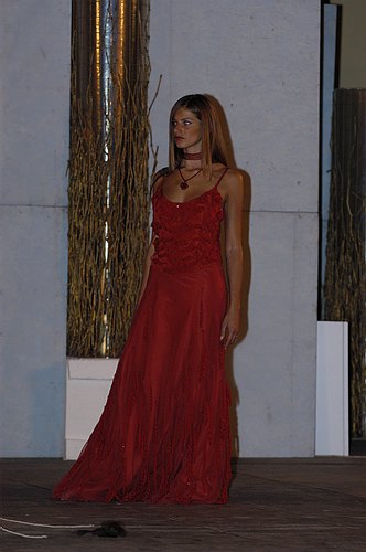 DSC_3048
