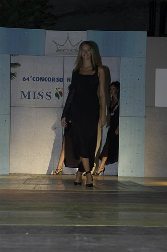 DSC_2229