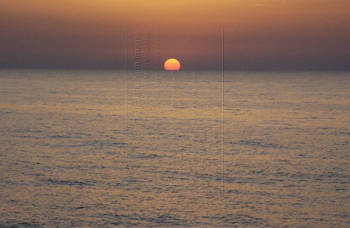 DSC_3630