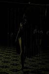 <%=FWT_IPTC120%>