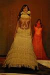 <%=FWT_IPTC120%>