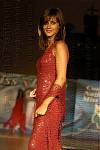 <%=FWT_IPTC120%>