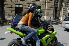 <%=FWT_IPTC120%>