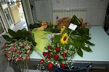 <%=FWT_IPTC120%>