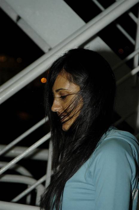 DSC_1524