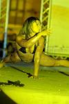 <%=FWT_IPTC120%>