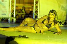 <%=FWT_IPTC120%>