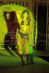 <%=FWT_IPTC120%>