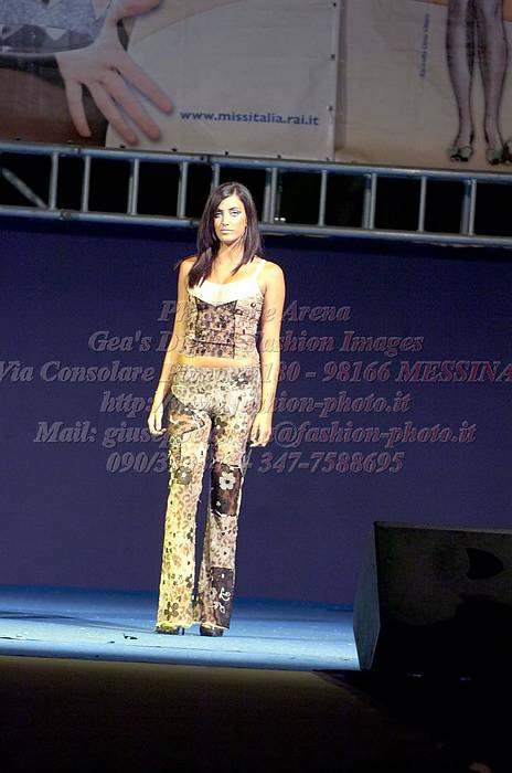 _GEA0313