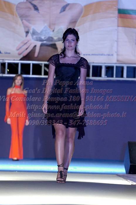 _GEA0445