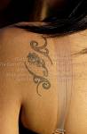 <%=FWT_IPTC120%>