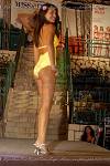<%=FWT_IPTC120%>