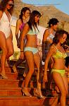 <%=FWT_IPTC120%>