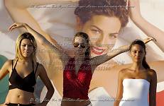 <%=FWT_IPTC120%>