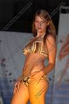 <%=FWT_IPTC120%>