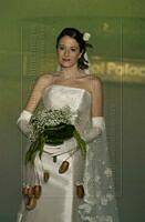 <%=FWT_IPTC120%>