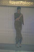 <%=FWT_IPTC120%>