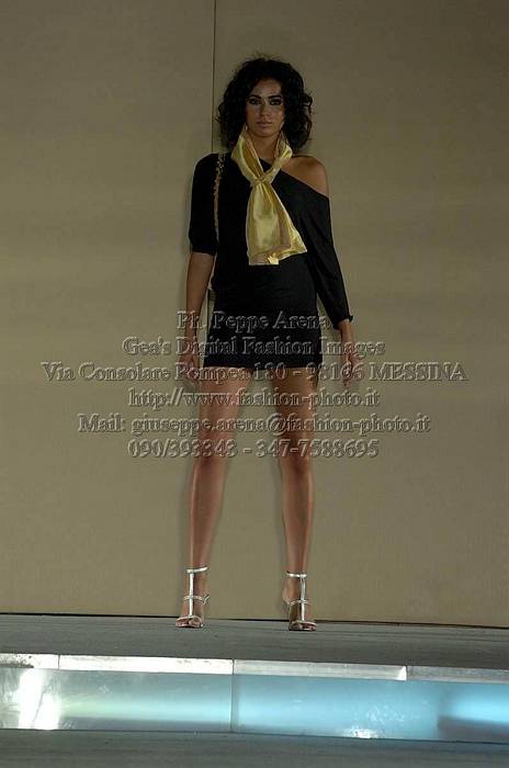 _GEA2008