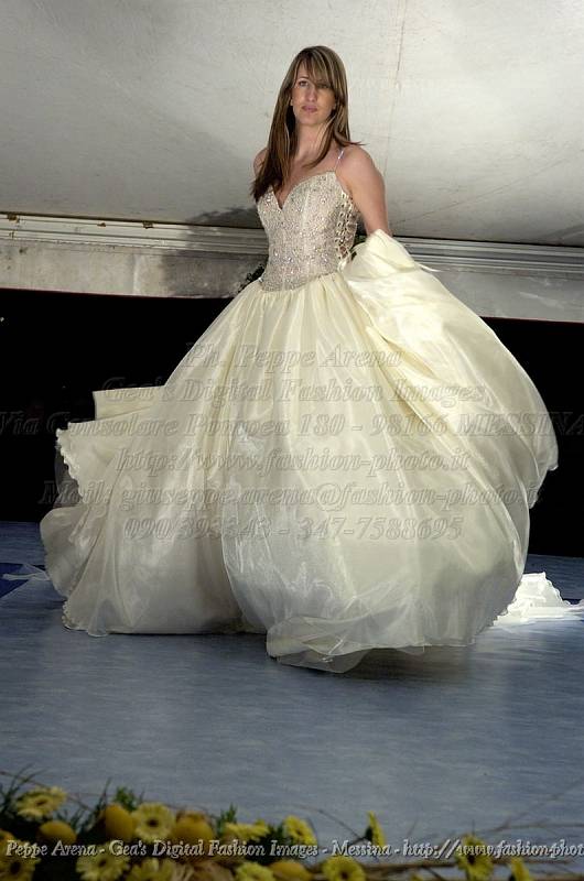 _GEA2010