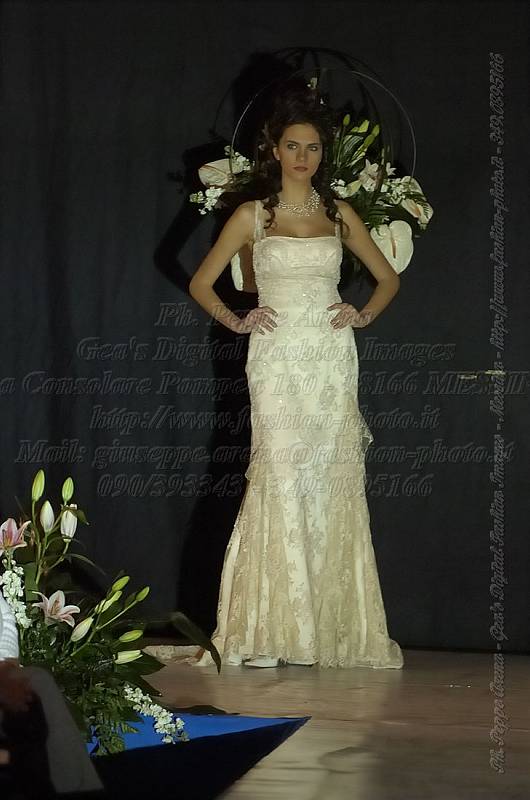 _GEA8449