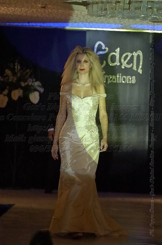 _GEA8571