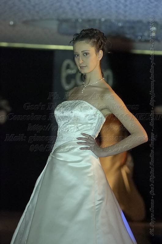 _GEA8704