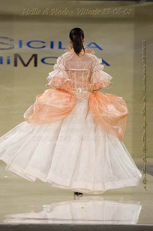 _GEA2497