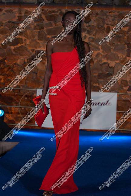 GEA_9176