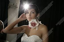 <%=FWT_IPTC120%>