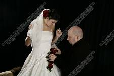 <%=FWT_IPTC120%>
